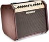  Fishman Loudbox Mini 