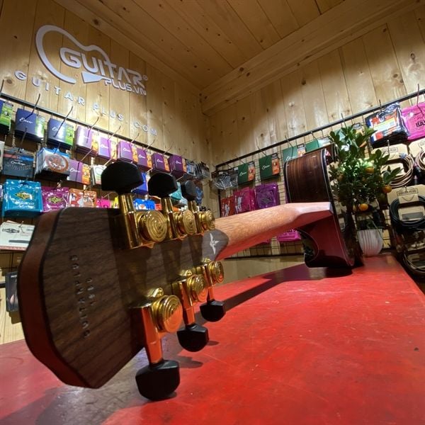  Guitar Plus 102 Series Mini 