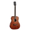  Guitar Acoustic Cort AF510M OP 