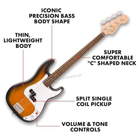  Guitar bass Squier Debut P Bass LRL WPG DKR 