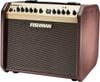  Fishman Loudbox Mini 