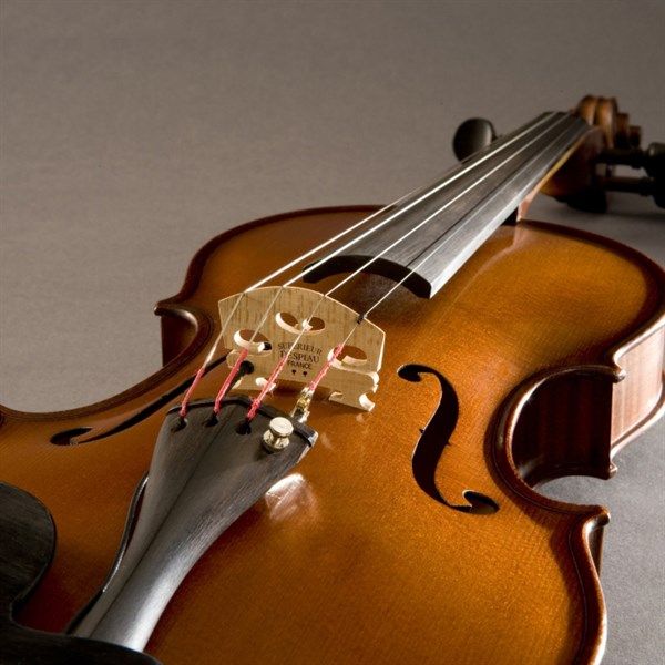  Fishman Violin/Viola Pickup V-300 