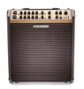  Fishman Loudbox Performer 