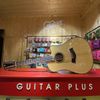  Guitar Plus F0 Performer DC 12 strings 