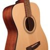  Cort Acoustic AF 505 OP 