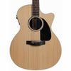  Guitar Plus F0 Performer AC 