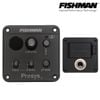  EQ Fishman Isy-301 