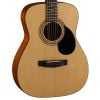  Guitar Acoustic Cort AF510 OP 