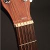  Cort Acoustic AF 505 OP 
