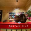 Guitar Plus 102 Series 