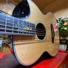  Guitar Plus 102 Series 