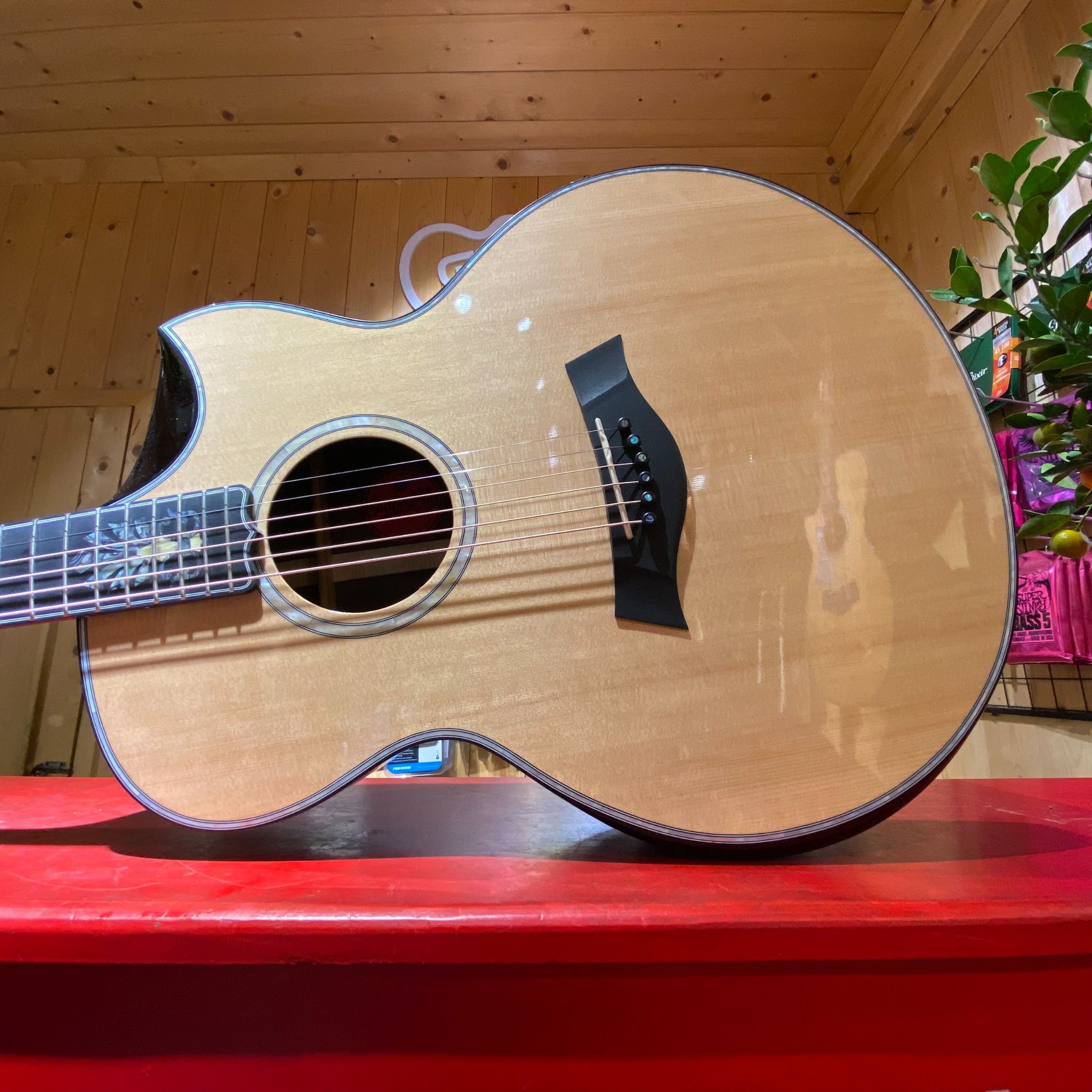  Guitar Plus 102 Series 