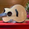  Guitar Plus 102 Series 