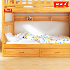 Giường tầng ALALA106 cao cấp