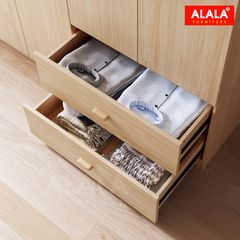 Tủ quần áo A1029 cao cấp