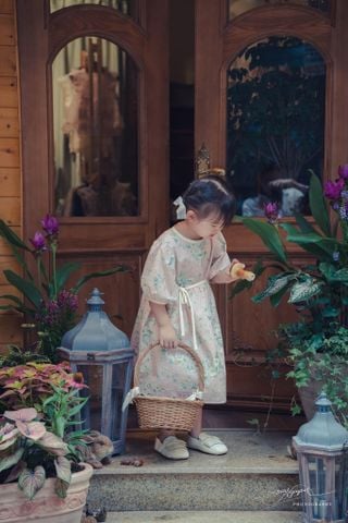 AR Váy Lynne hồng