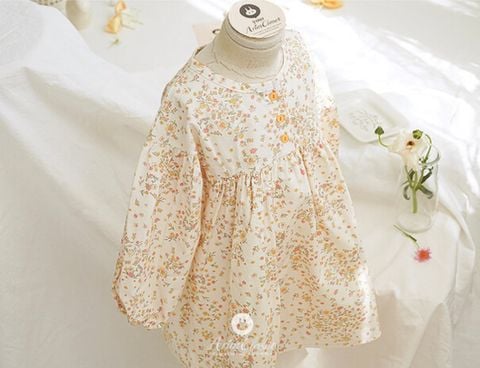 AR Akina hoa nhí vàng