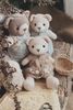 Knitting Gấu Millie Bear