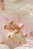 Cặp baby Rabbit