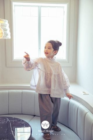 Áo Aimee Blouse