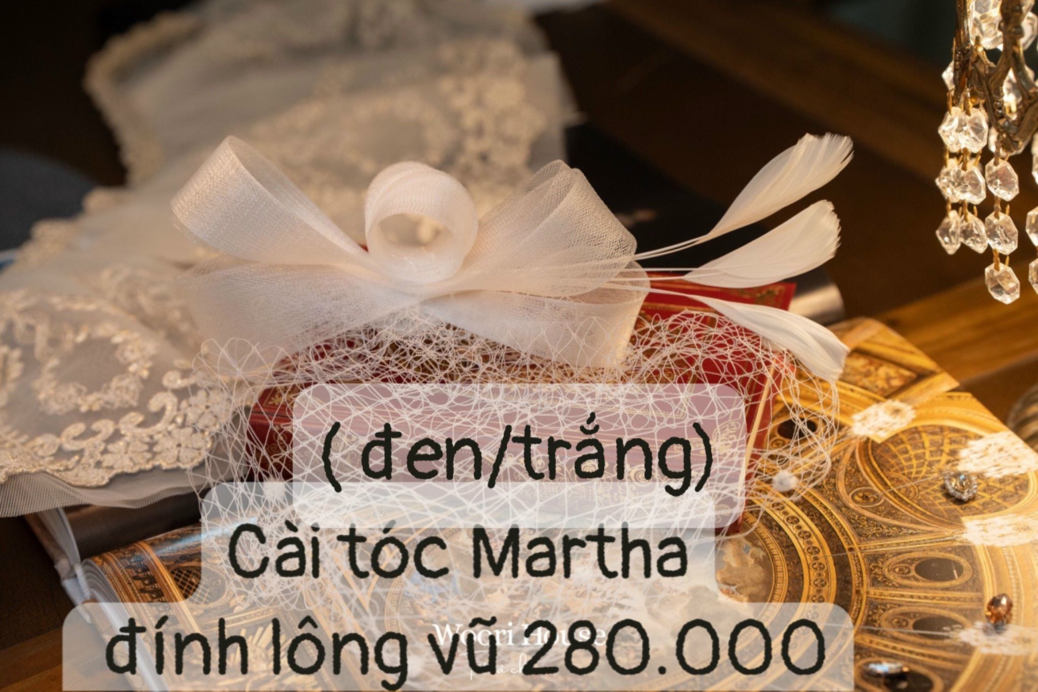 PK Cài tóc Martha đính lông vũ