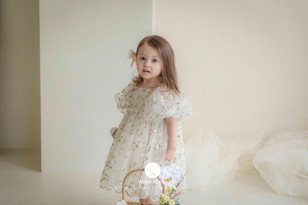 HBB Váy Andrea thêu hoa hồng