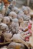 Crochet Búp bê tóc xù Anna Doll