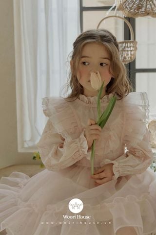 FL Váy Fiance phủ voan bồng