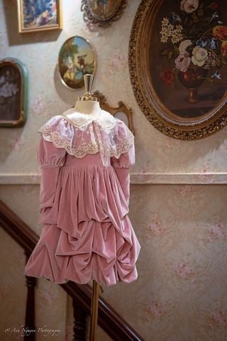 EC- Velvet Peony nhung hồng