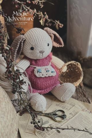 Knitting Thỏ Holland Lop