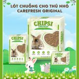  Lót chuồng giấy cho thú nhỏ Carefresh Confetti | Siêu thấm hút | Không bụi | Mềm mịn | Phân huỷ sinh học | Nhiều màu sắc 