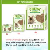  Lót chuồng giấy cho thú nhỏ Carefresh Confetti | Siêu thấm hút | Không bụi | Mềm mịn | Phân huỷ sinh học | Nhiều màu sắc 