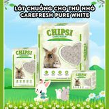  Lót chuồng giấy cho thú nhỏ Carefresh Confetti | Siêu thấm hút | Không bụi | Mềm mịn | Phân huỷ sinh học | Nhiều màu sắc 