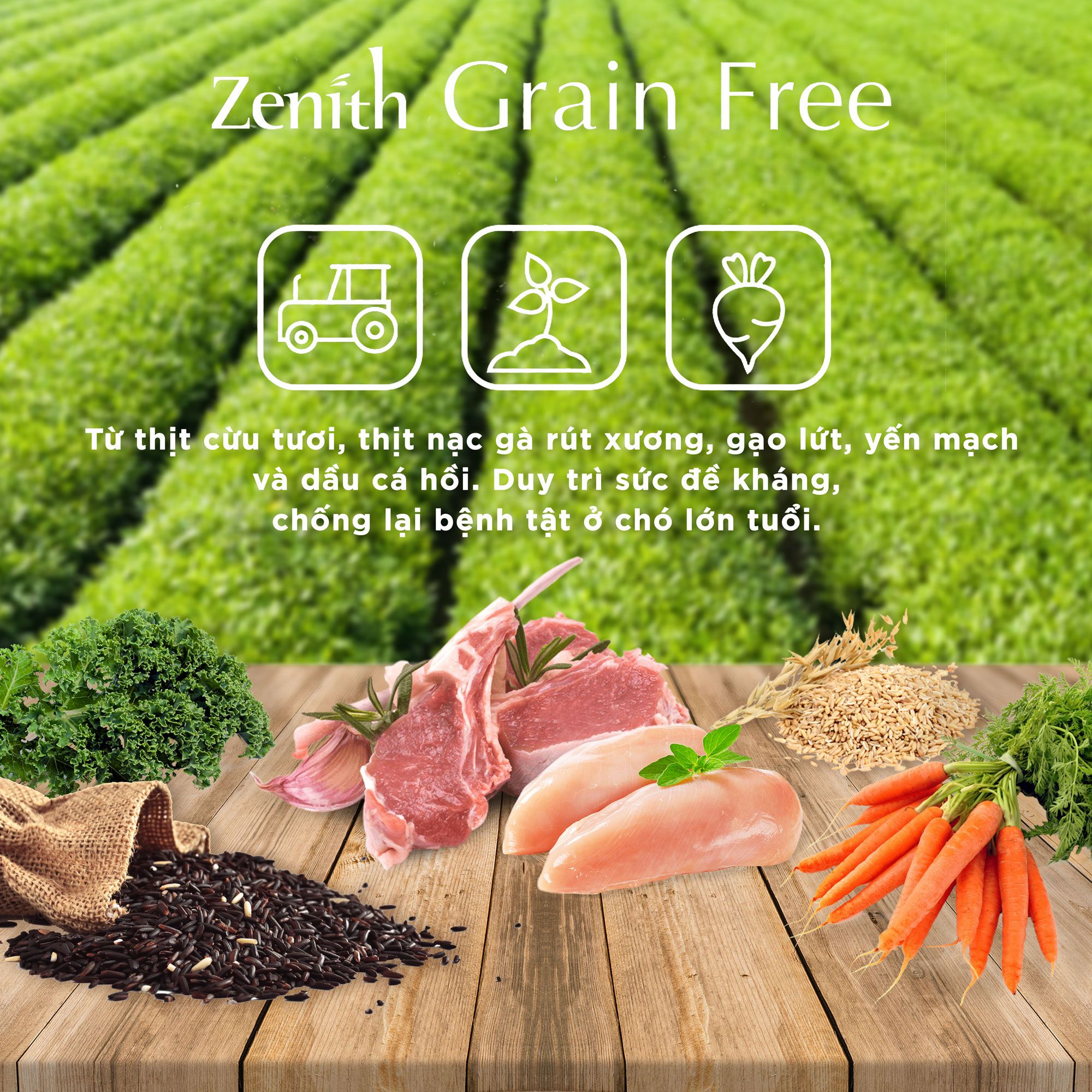  Thức ăn hạt mềm cho chó Zenith | Không ngũ cốc | Hỗ trợ miễn dịch | Phát triển xương khớp chắc khoẻ 