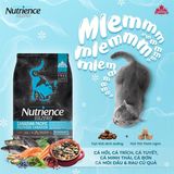  Thức ăn hạt khô Nutrience Subzero Cat Canadian Pacific Grain Free (Cá biển cao cấp) 