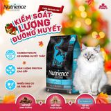  Thức ăn hạt khô Nutrience Subzero Cat Canadian Pacific Grain Free (Cá biển cao cấp) 