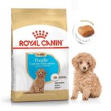  Thức Ăn Hạt Royal Canin Poodle Adult Bịch 1.5 KG 