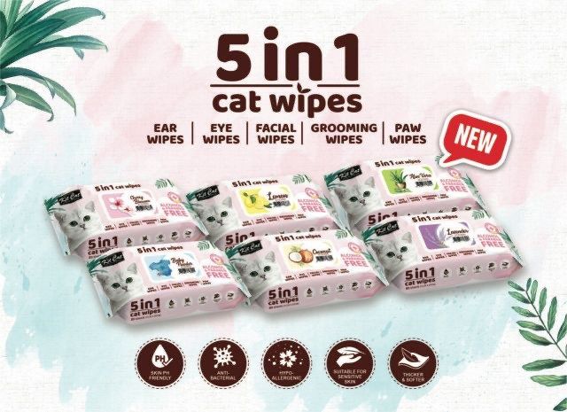  Khăn giấy ướt Kitcat 80 tờ 5 in 1 cho thú cưng 