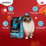  Thức ăn hạt khô Nutrience Subzero Cat Canadian Pacific Grain Free (Cá biển cao cấp) 