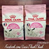  THỨC ĂN HẠT KHÔ CHO MÈO ROYAL CANIN MOTHER & BABY CAT 34 - 4 kg 