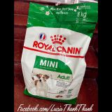  Thức ăn hạt khô cho chó Royal Canin Mini Aldult bịch 8 KG 