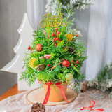  Christmas Tree KR 