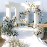  Luxury Wedding Package 