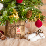  Twinkle Christmas Tree 