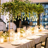  Luxury Wedding Package 