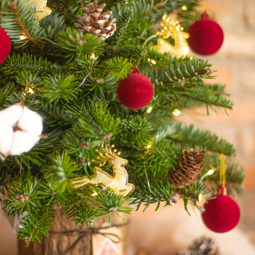  Cây Thông Noel Lấp Lánh 