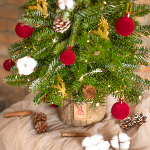  Twinkle Christmas Tree 