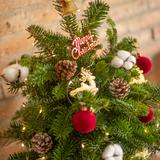  Cây Thông Noel Lấp Lánh 