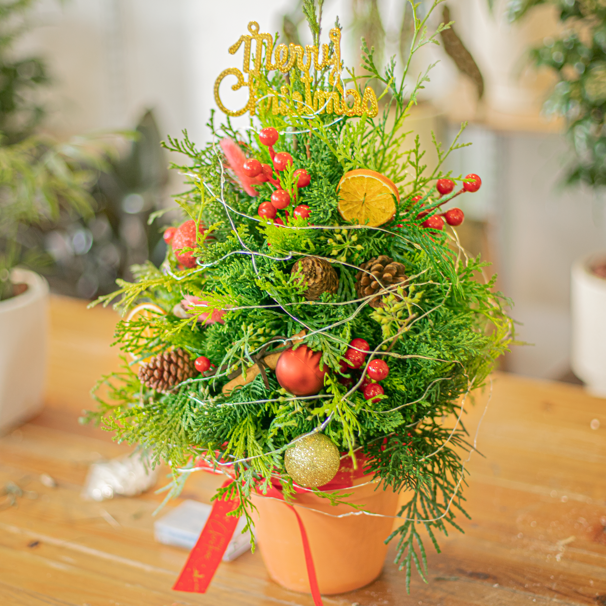  Christmas Tree KR 