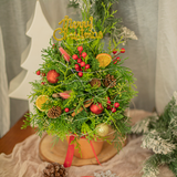  Christmas Tree KR 